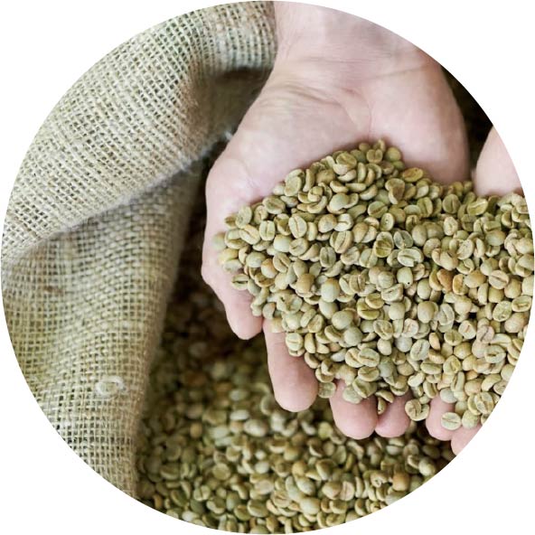 Green Coffee Supply