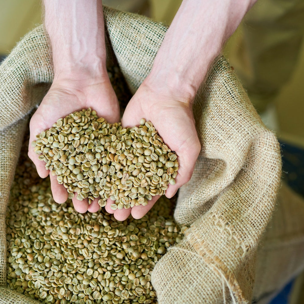 
                  
                    Green Coffee Beans
                  
                