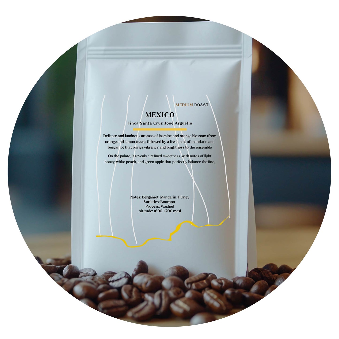 Mexico Finca Santa Cruz