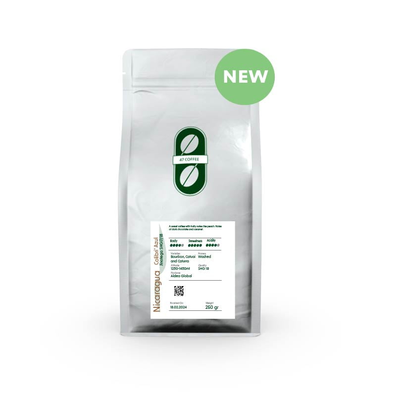 nicargua colibri' azul